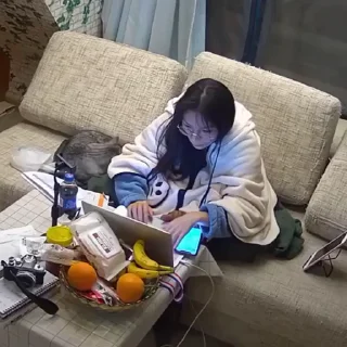 🐈