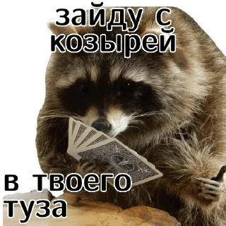 🃏