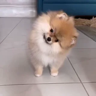 🤨