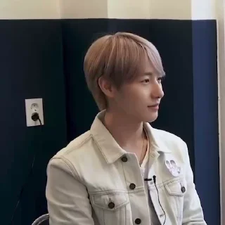 🦊