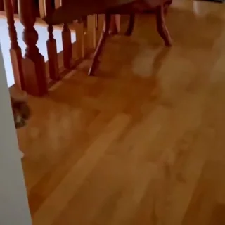 🤩