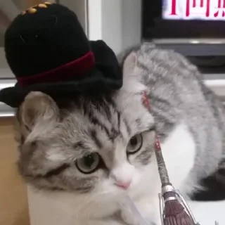 🥰