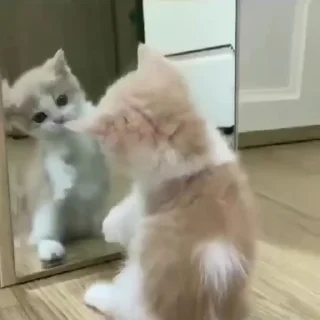 😙