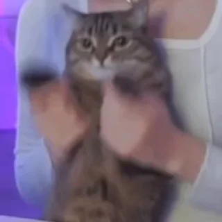 💃