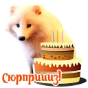 🎉