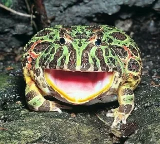 😮