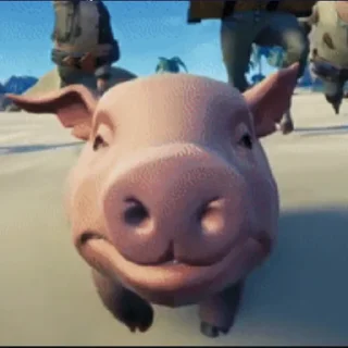 🐷
