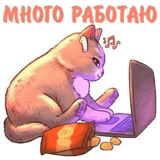💻