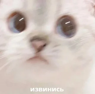 😡