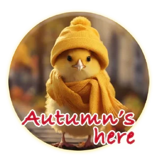 🍂