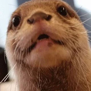 😳