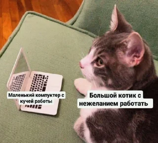 🌟
