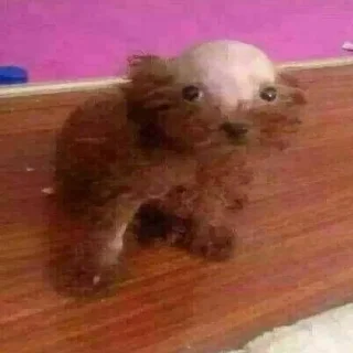🫤