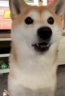 💥