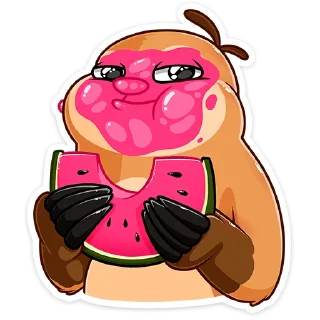 🍉