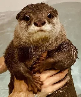 🛁