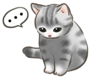 🐱