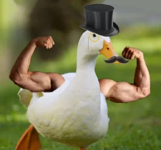🎩