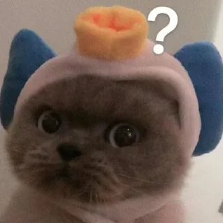 ❓