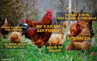 🐓