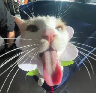 😝