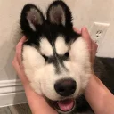 😁