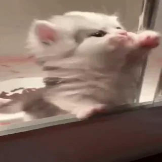 🥹