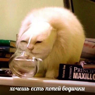 ☝️