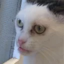 😐