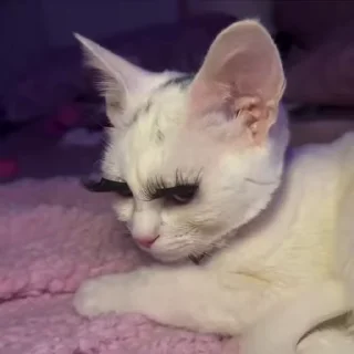 😘