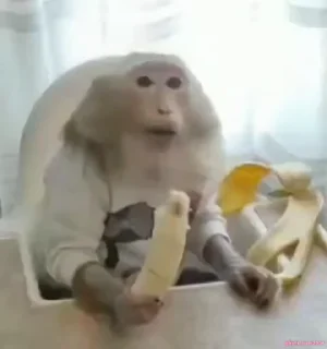 😐