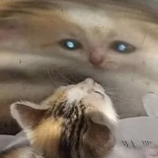 🕳
