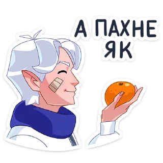 🍊