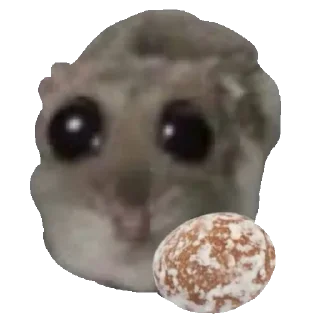 🍪