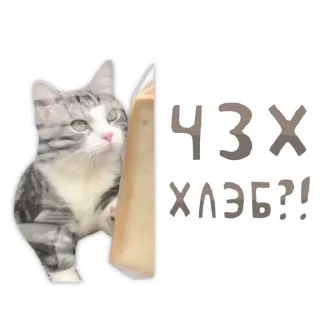 😱