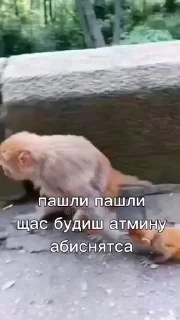 🤩