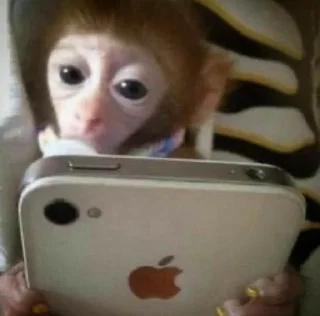 📱
