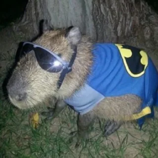 🦇