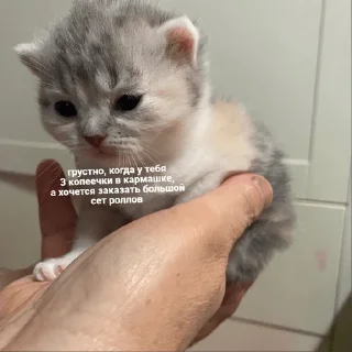 😦