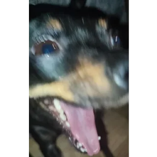 🤬