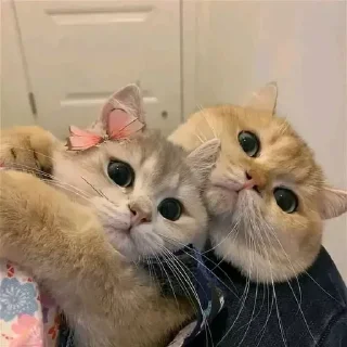 ❤️