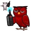 🦉