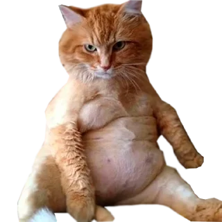 🔞