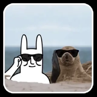 😎