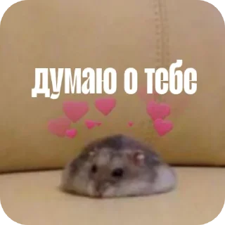 🤲