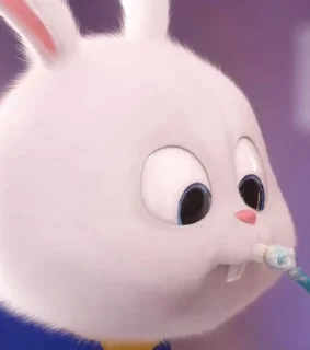Snowball