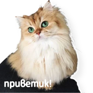 👋