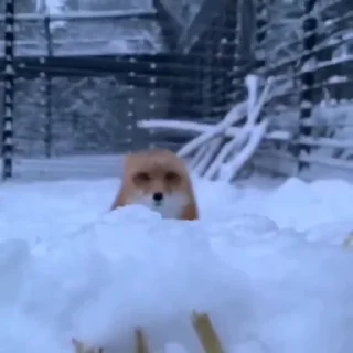😙