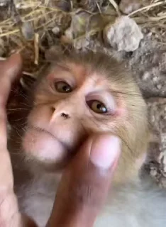 😱