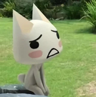 😿